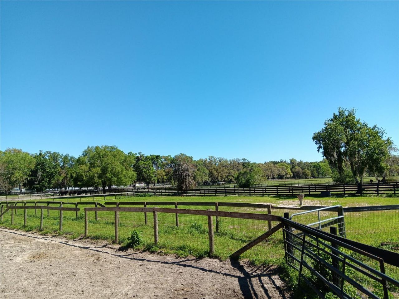2630 NW 140th Street, Citra, FL 32113 Photo