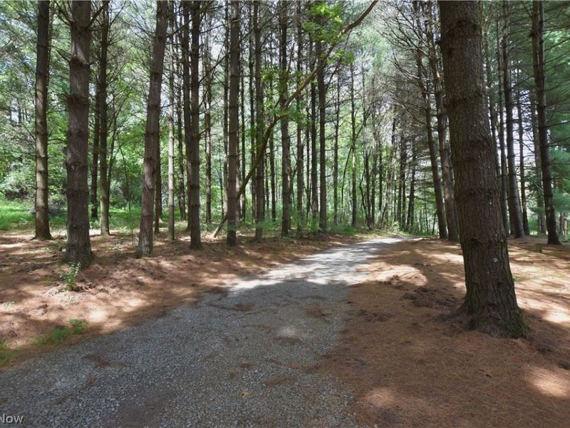 1321 Whispering Pines Drive SW, Dellroy, OH 44620 Photo 46
