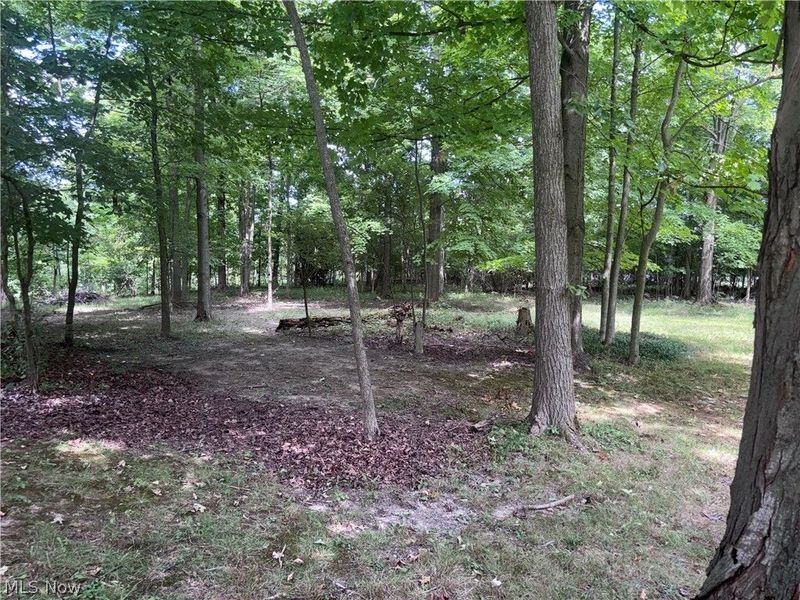 V/L Mason Road, Vermilion, OH 44089 Photo 4