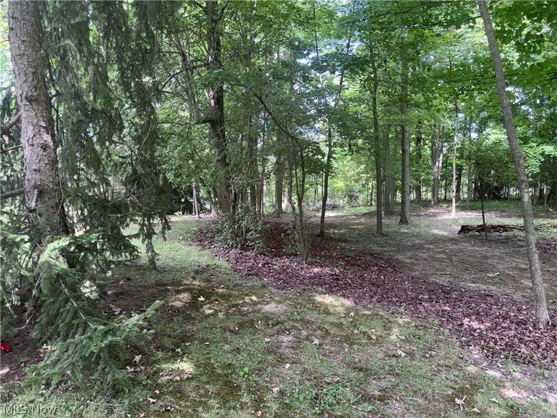 V/L Mason Road, Vermilion, OH 44089 Photo 5