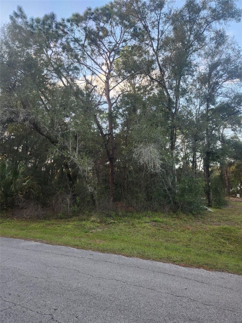 4029 E Walker Street, Inverness, FL 34453 Main Photo