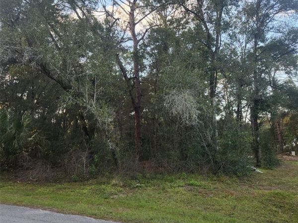4029 E WALKER STREET, INVERNESS, FL 34453