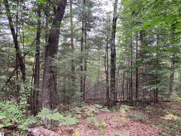 Wiltse Road, Lupton, MI 48635