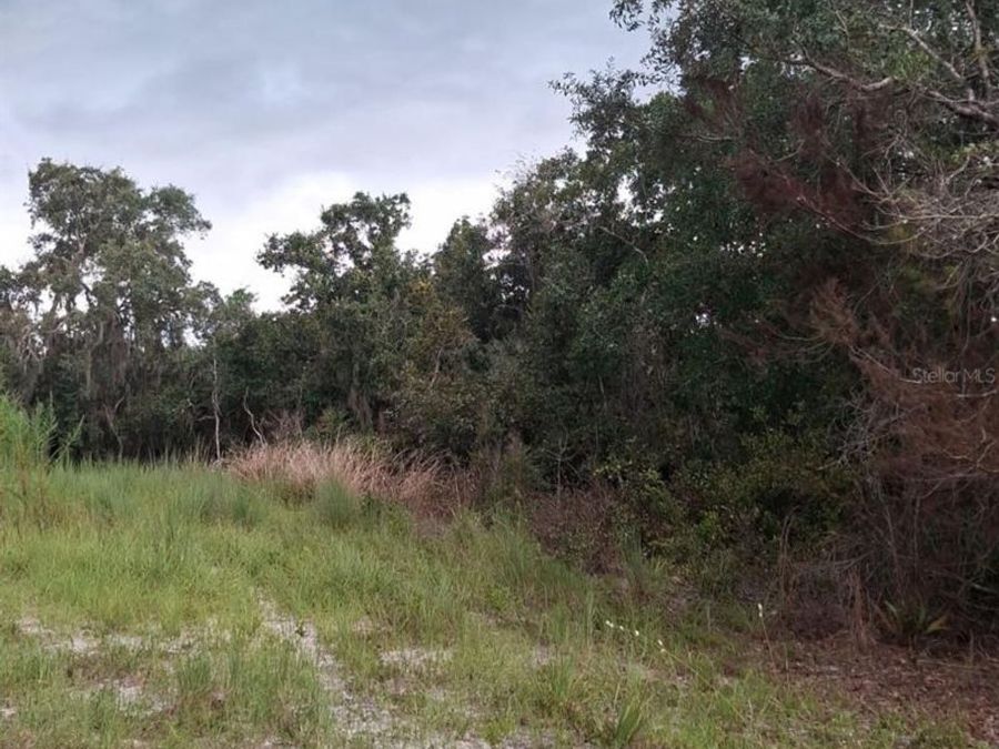 Property Image 9