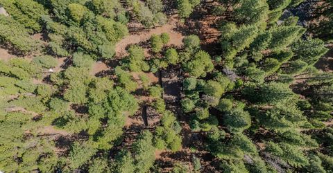 19565 Forest View Cir, Pioneer, CA 95666 Photo