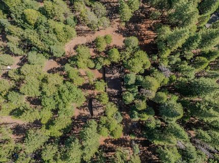 19565 Forest View Cir, Pioneer, CA 95666 Photo