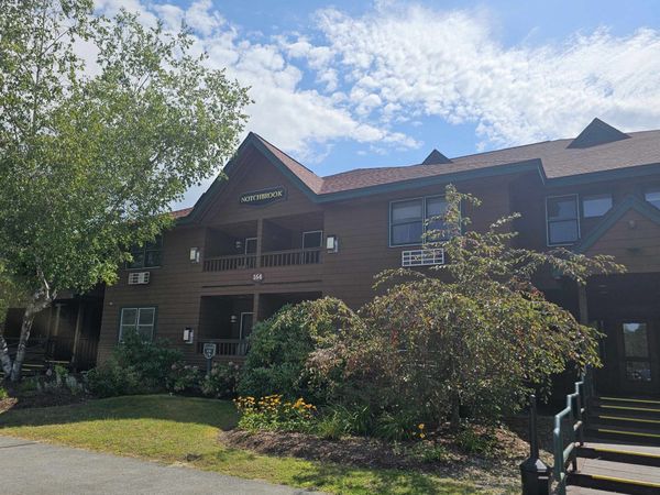164 Deer Park Drive, Unit 166C, Woodstock, NH 03262