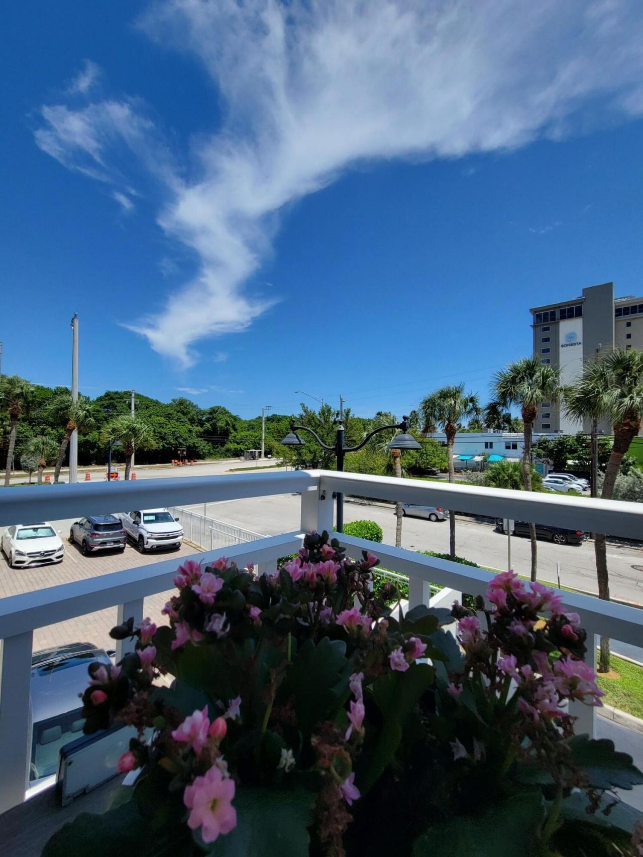 3000 E Sunrise Boulevard, Unit 2B, Fort Lauderdale, FL 33304 Photo