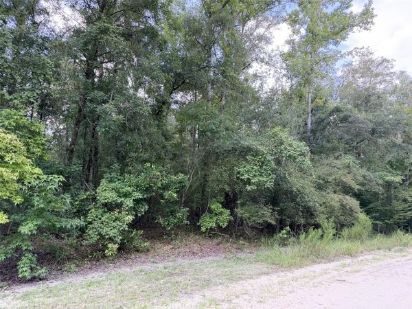 0 NE 756 STREET , OLD TOWN, FL 32680