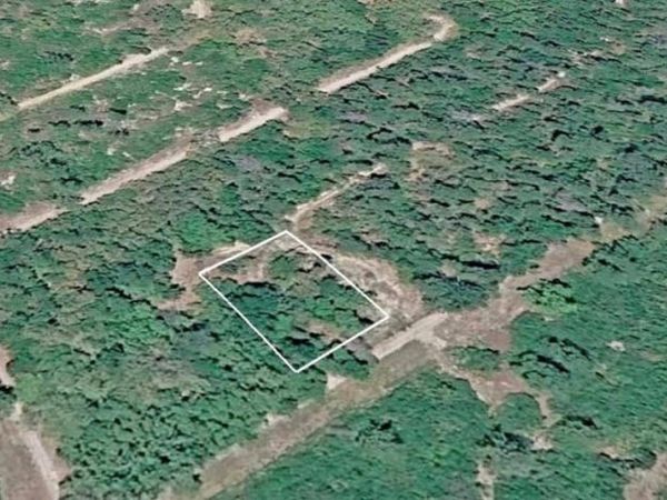 156 SHARON DRIVE , SATSUMA, FL 32189