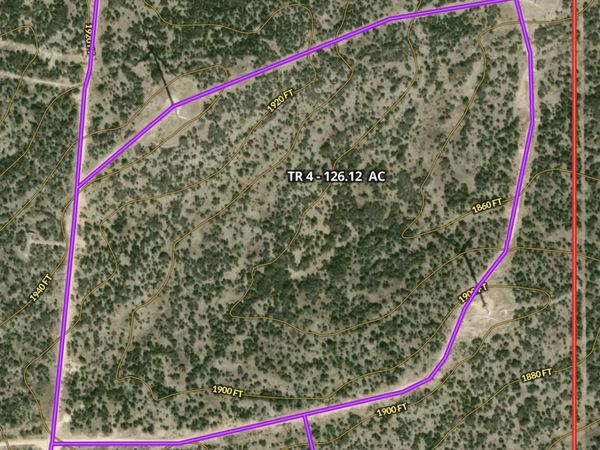 TRACT 4 LWR Hwy 377, Rocksprings, TX 78880