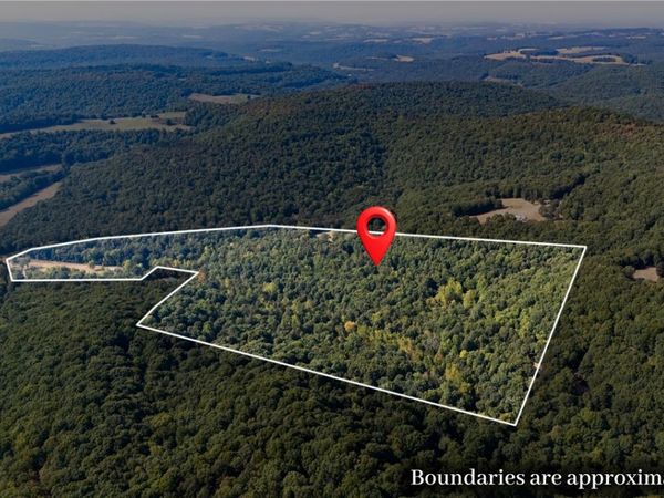 2614 & 2638 Madison 6330 , Wesley, AR 72773