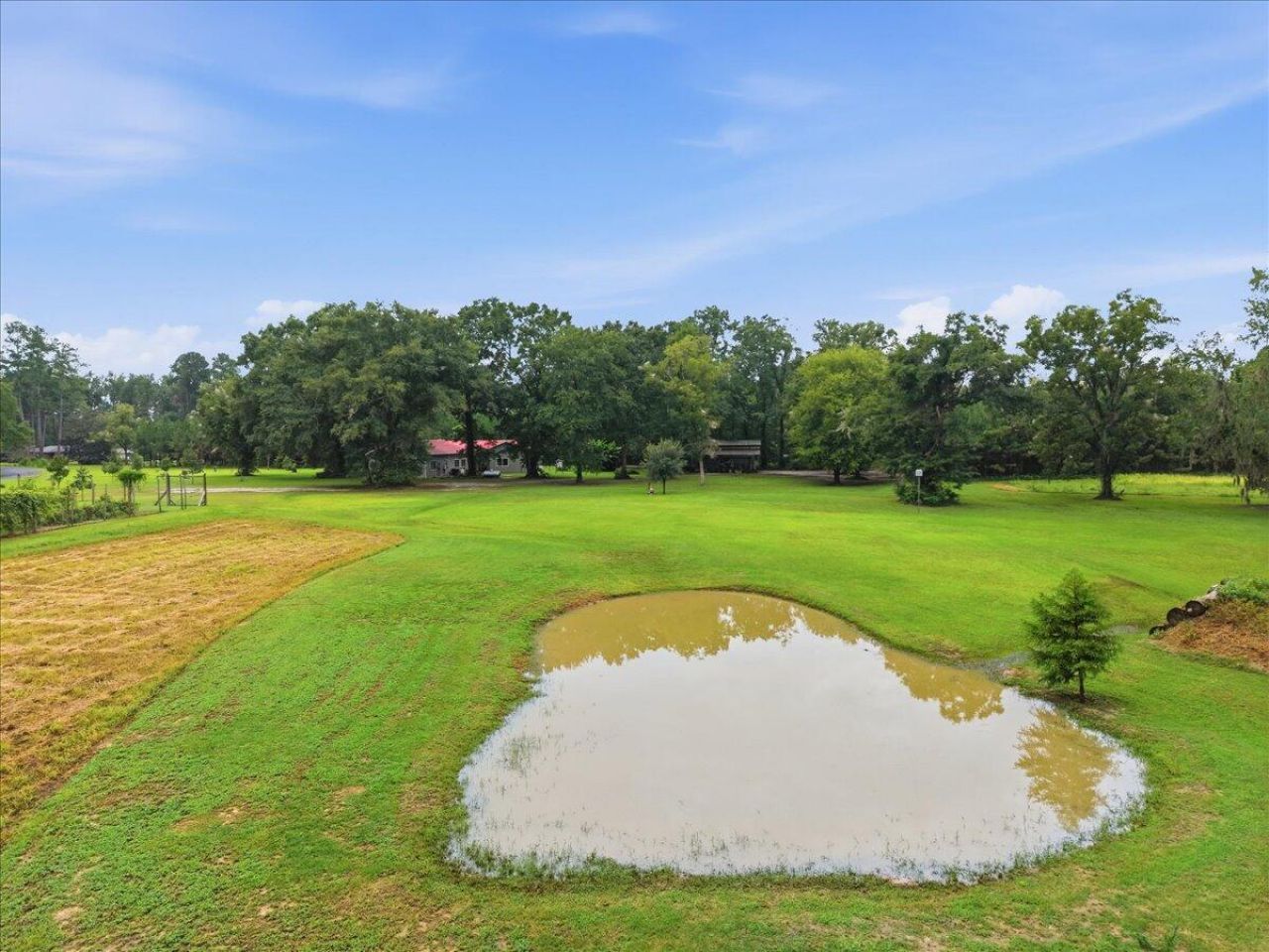 3099 Polk Road Photo 56