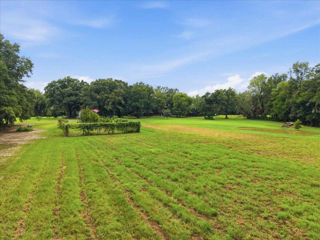 3099 Polk Road Photo 57