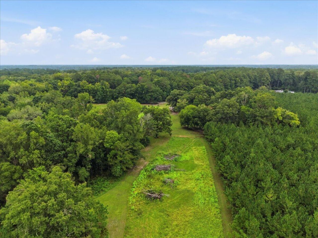3099 Polk Road Photo 59