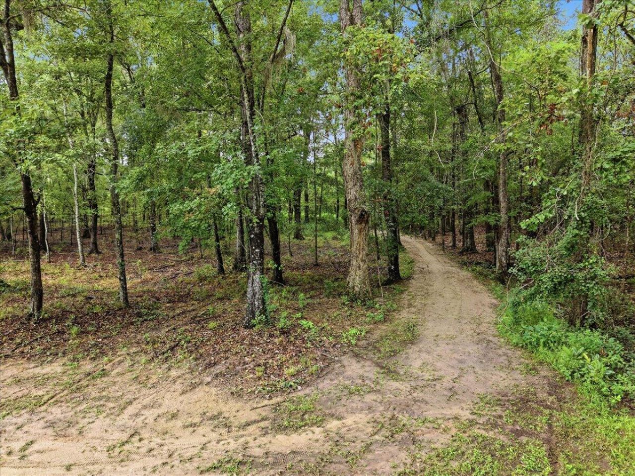 3099 Polk Road Photo 60