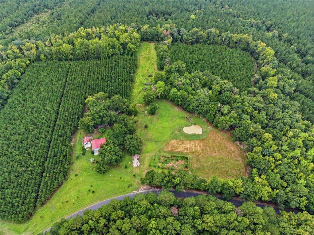 3099 Polk Road Photo 62