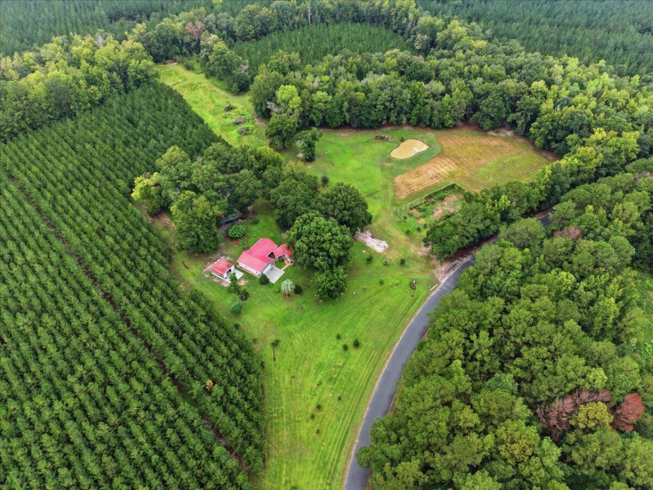 3099 Polk Road Photo 65