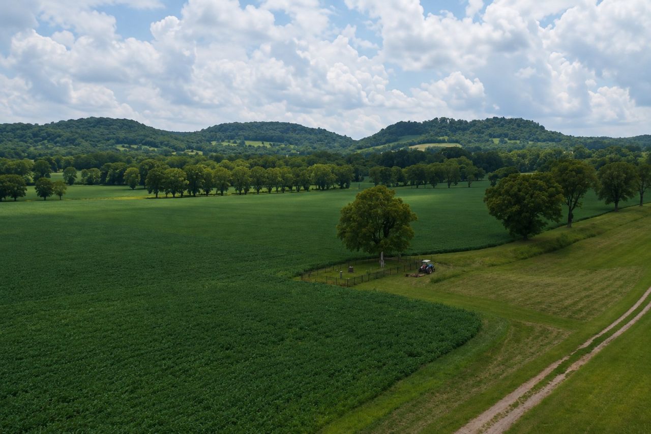 3138 Richmond Rd , Petersburg, TN 37144 Main Photo