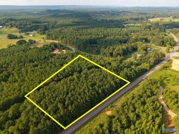 Tract 6 County Road 41, Gaylesville, AL 35973