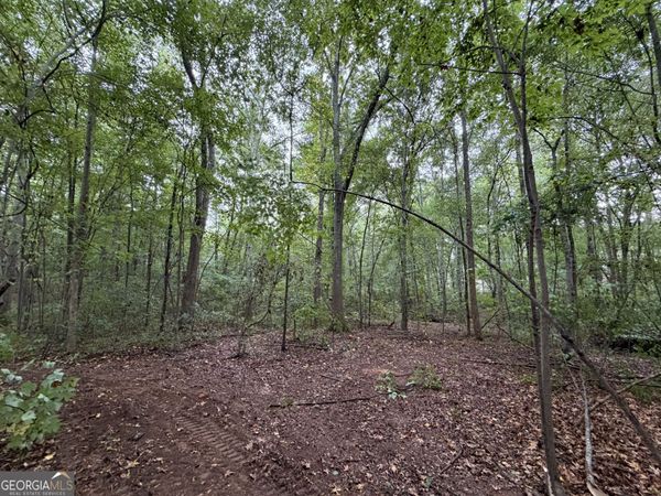 0 Caney Head Road, Roopville, GA 30170