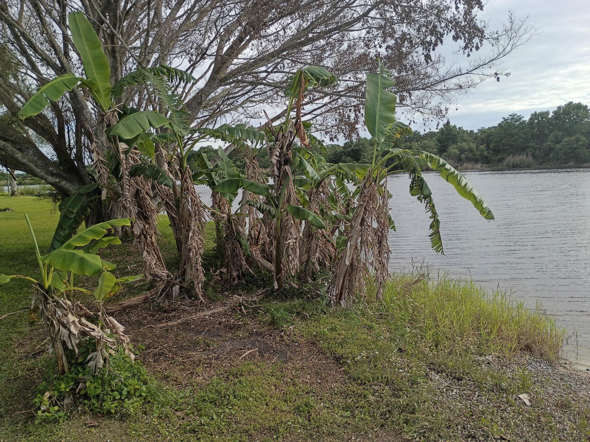 20020 NW 80th Drive, Okeechobee, FL 34972 Photo