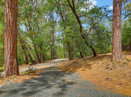 13531 Capitol, Grass Valley, CA 95945 Photo