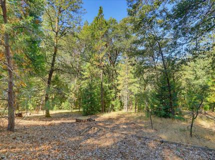 13531 Capitol, Grass Valley, CA 95945 Photo