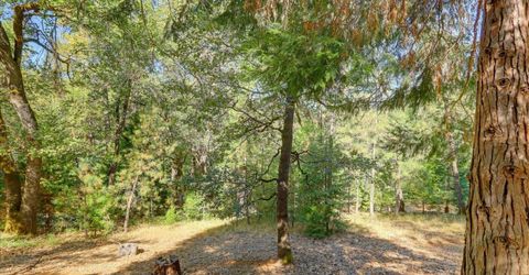 13531 Capitol, Grass Valley, CA 95945 Photo