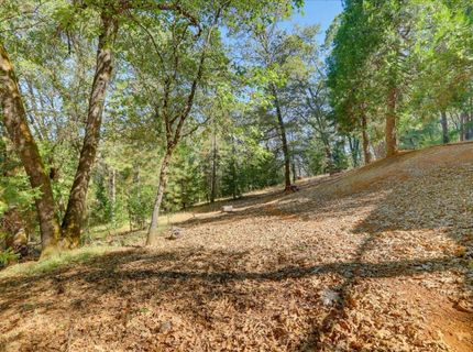 13531 Capitol, Grass Valley, CA 95945 Photo