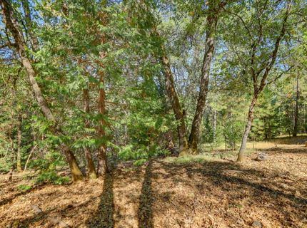 13531 Capitol, Grass Valley, CA 95945 Photo