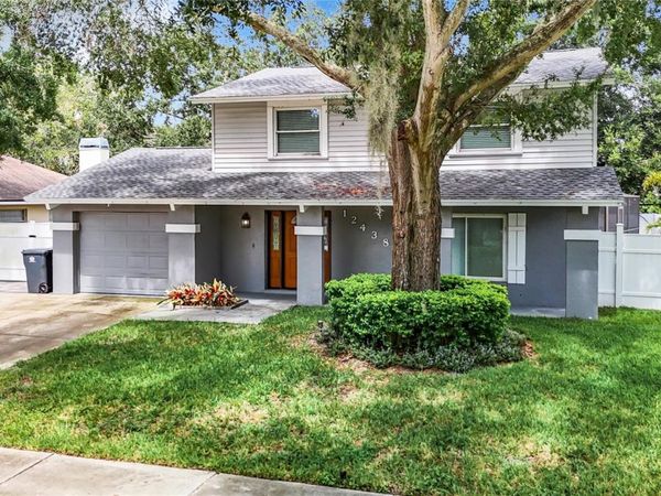 12438 CARDIFF DRIVE , TAMPA, FL 33625