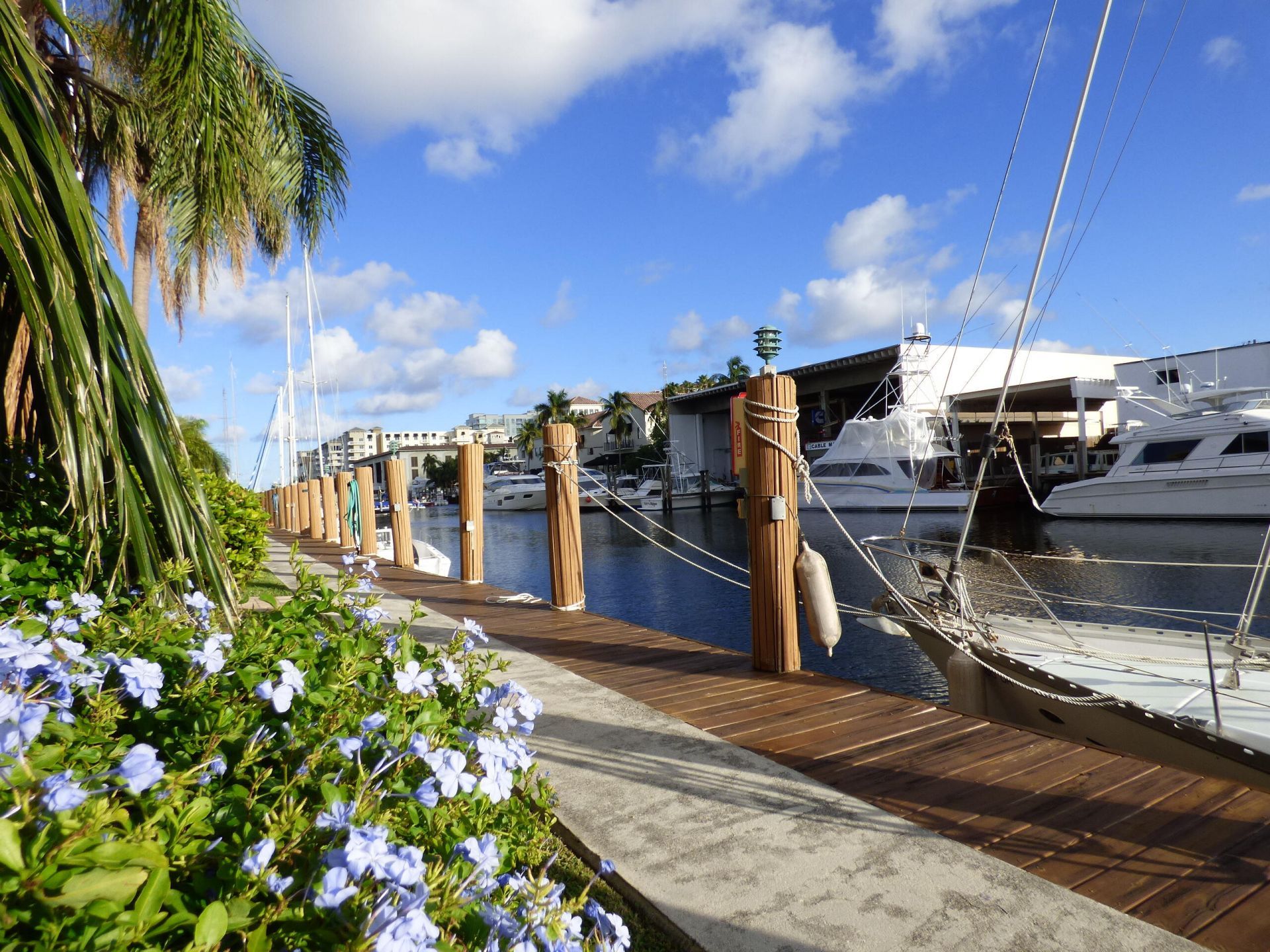 1510 SE 15th Street, Unit 304, Fort Lauderdale, FL 33316 Photo