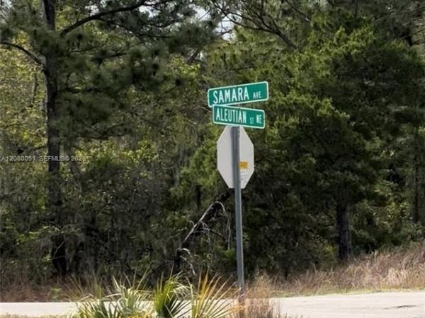 1215 Aleutian St NE , Lake Placid, FL 33852
