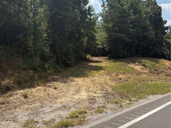 0 HWY 159, Fayette, AL 35555