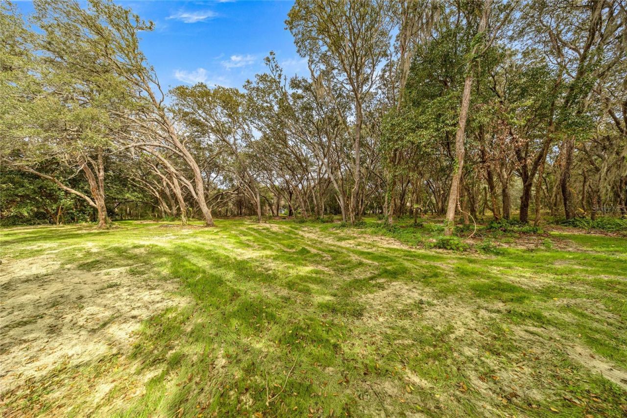 375 N Highview Avenue , Hernando, FL 34442 Photo