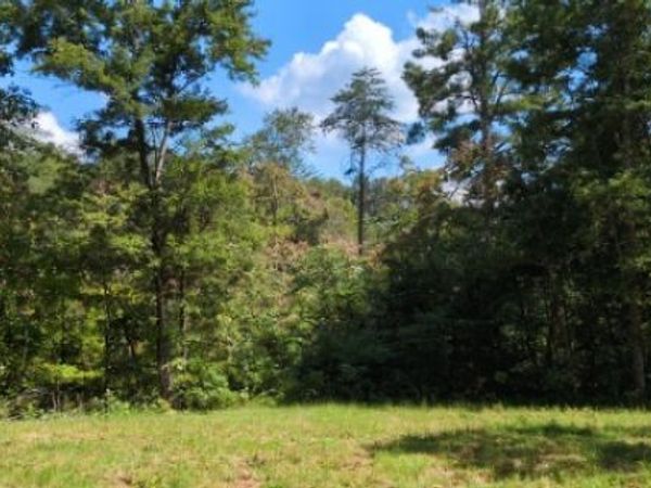 8400 Barren Fork Ln , Bon Aqua, TN 37025