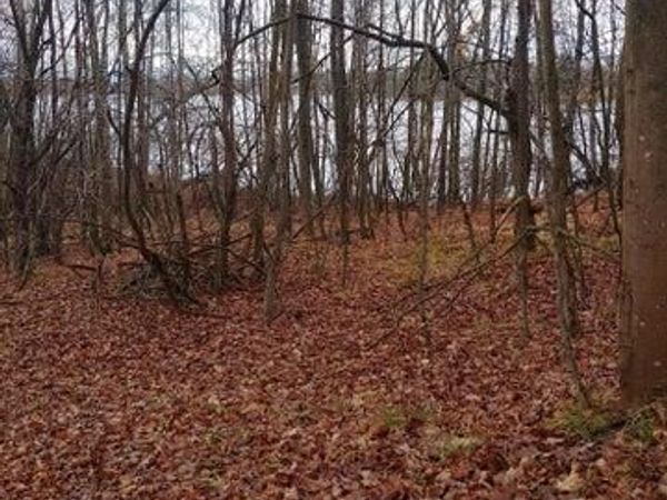 23045 Miramichi Drive, Evart, MI 49631