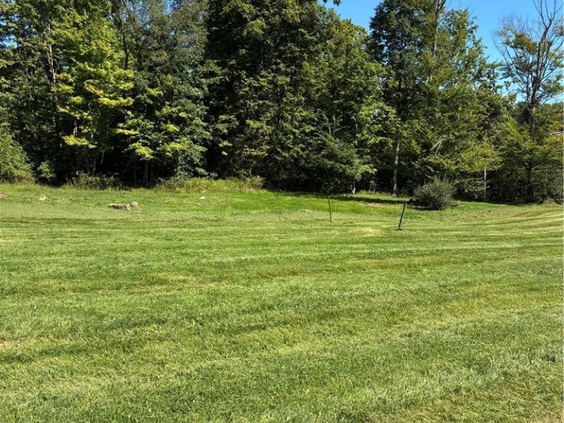 Concord Drive, East Palestine, OH 44413 Photo 3