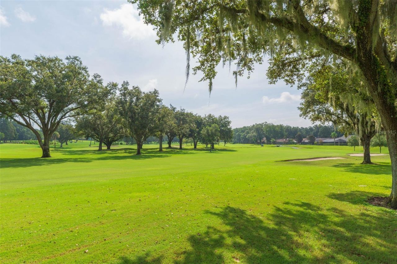 2709 Fairway View Drive , Valrico, FL 33596 Photo