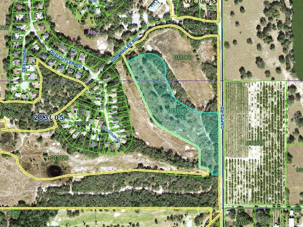 667 CAPPS ROAD , LAKE WALES, FL 33898