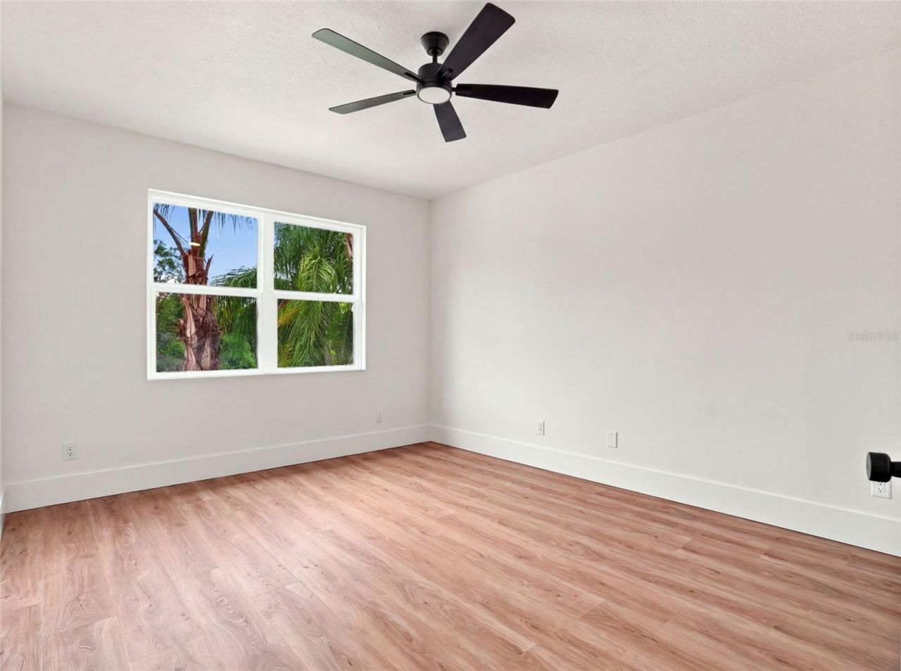 3519 Loggerhead Way, Wesley Chapel, FL 33544 Photo