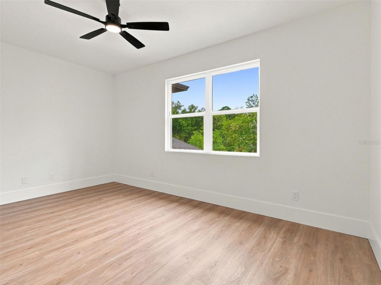 3519 Loggerhead Way, Wesley Chapel, FL 33544 Photo