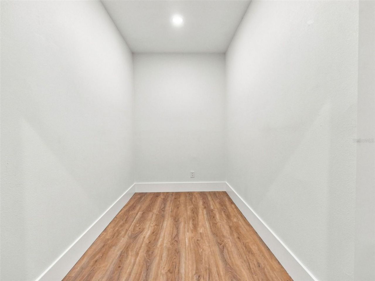 3519 Loggerhead Way, Wesley Chapel, FL 33544 Photo