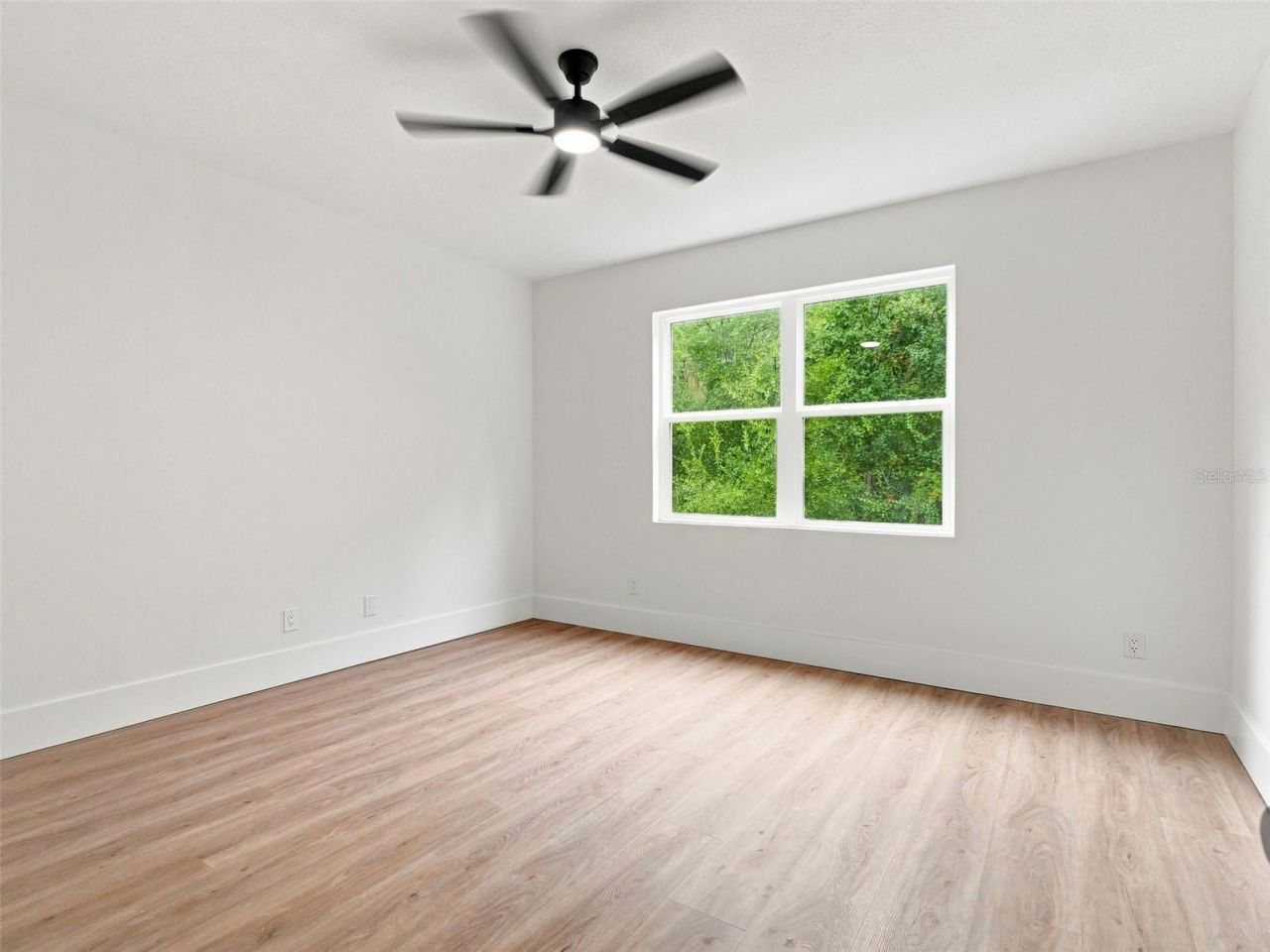 3519 Loggerhead Way, Wesley Chapel, FL 33544 Photo