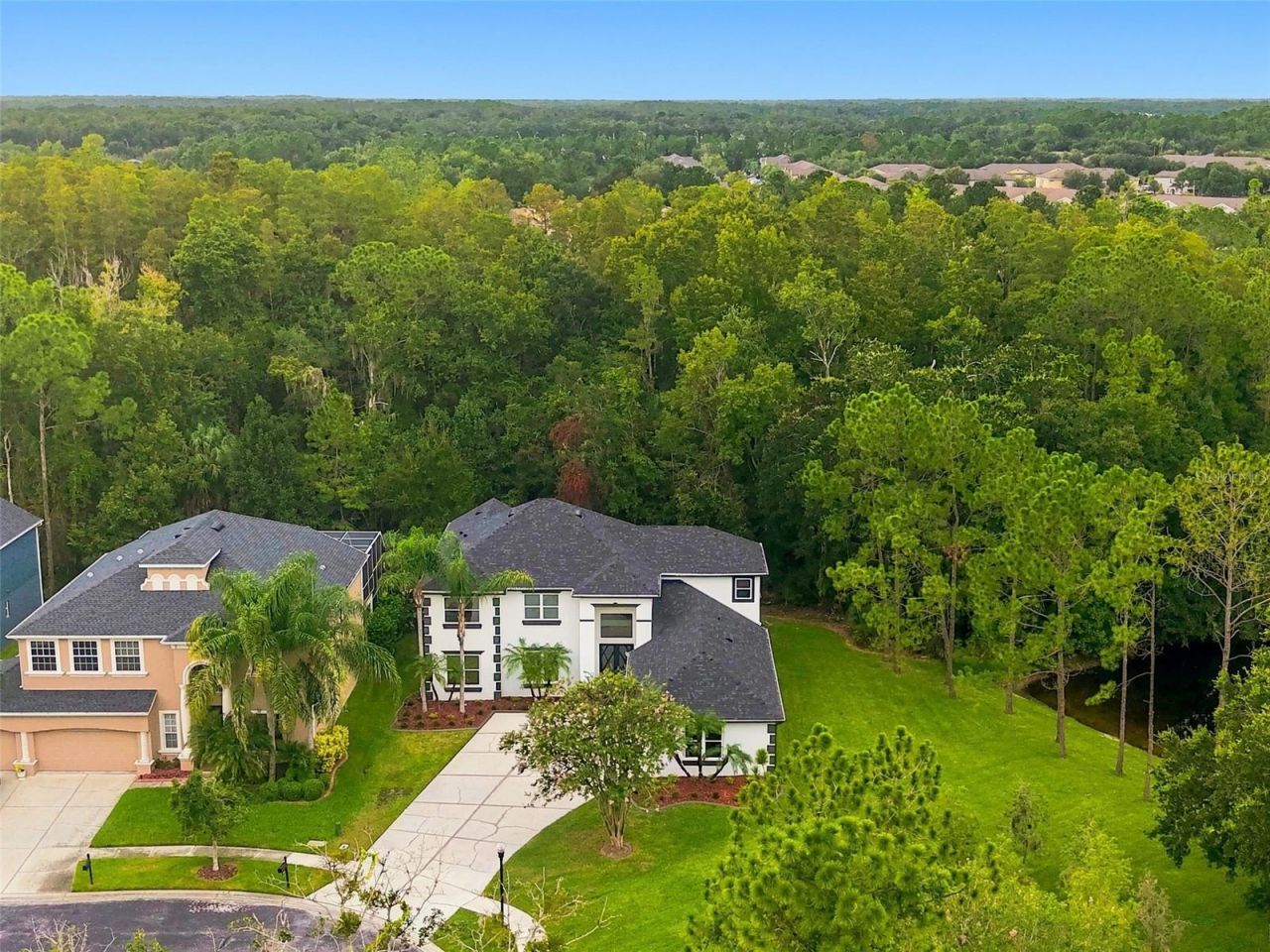 3519 Loggerhead Way, Wesley Chapel, FL 33544 Photo