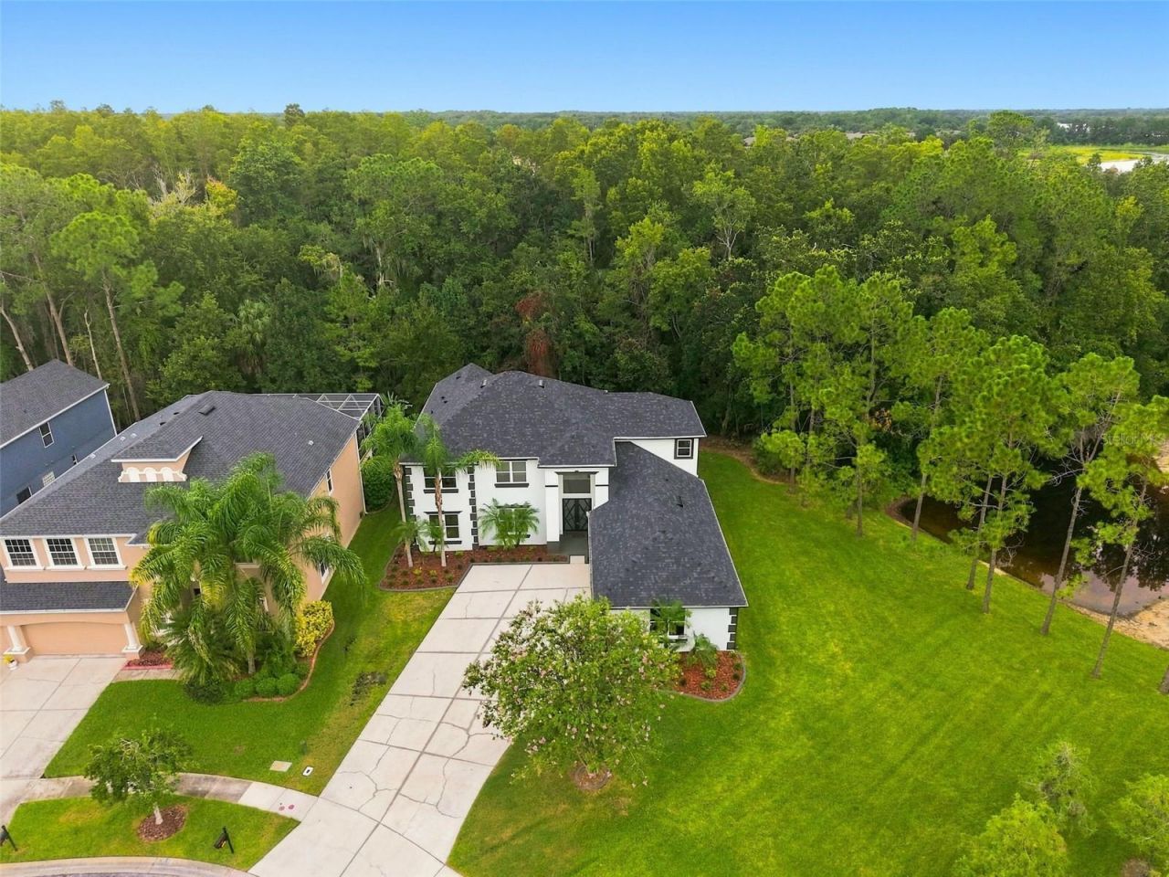 3519 Loggerhead Way, Wesley Chapel, FL 33544 Photo