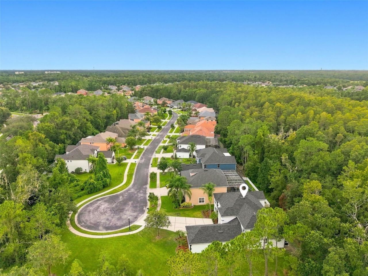 3519 Loggerhead Way, Wesley Chapel, FL 33544 Photo