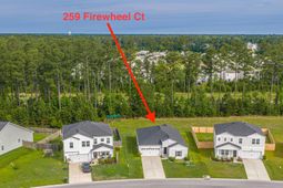 259 Firewheel Court photo 4
