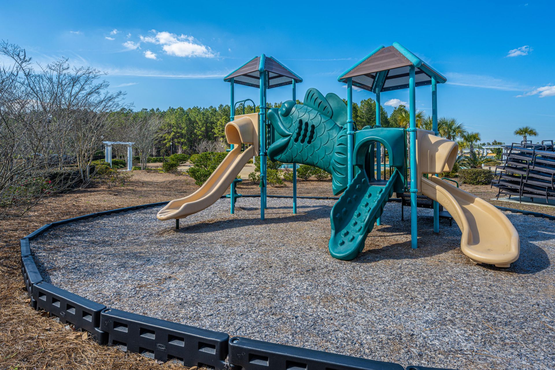 259 Firewheel Court Photo 47